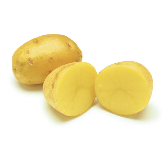 Ontario Yukon Potatoes